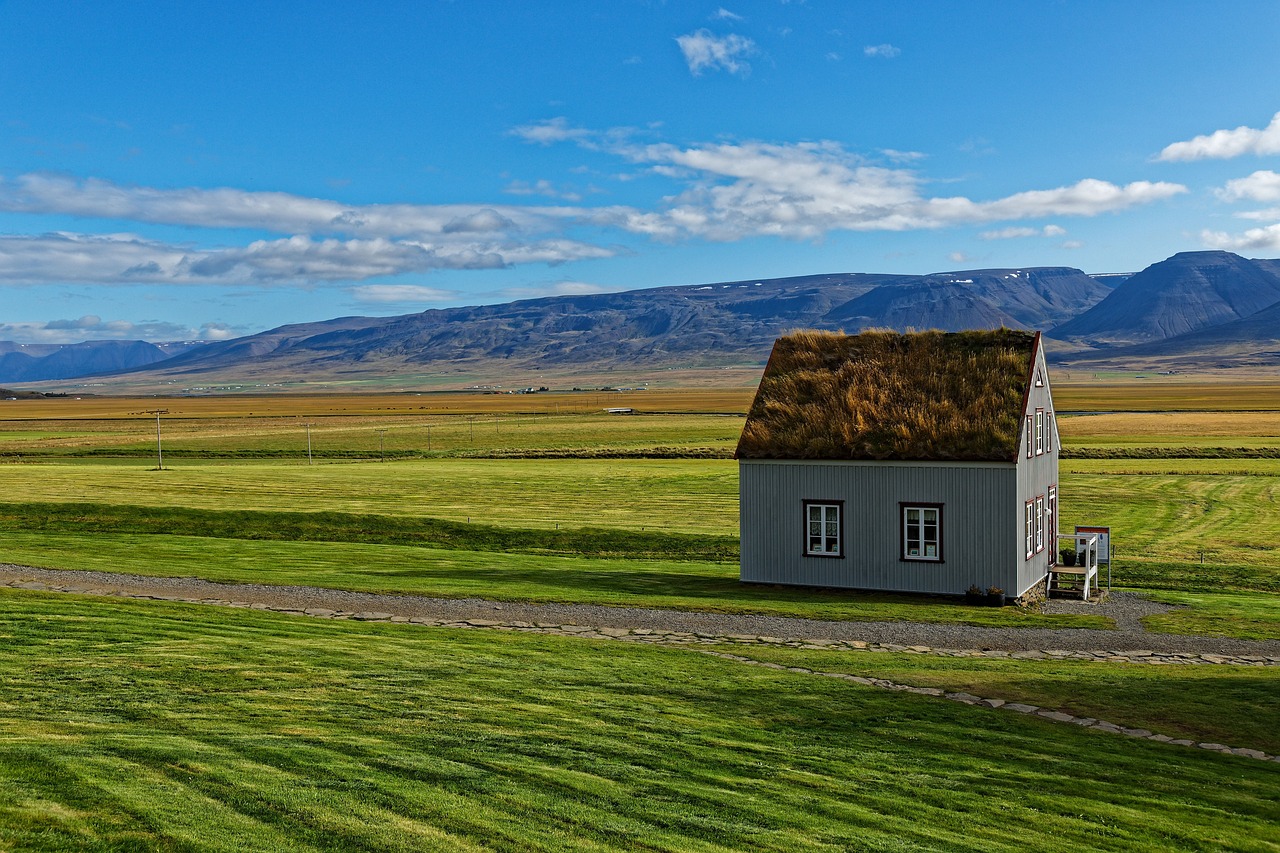 The Untamed Beauty of Iceland’s Hornstrandir Nature Reserve